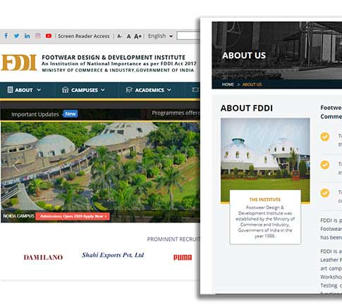 Footwear Design & Development Institute (FDDI)